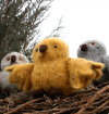 Fiber Trends Baby Owl Takes Flight Kit